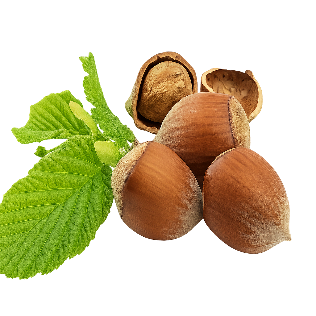 ljesnjak_gelato_zadar