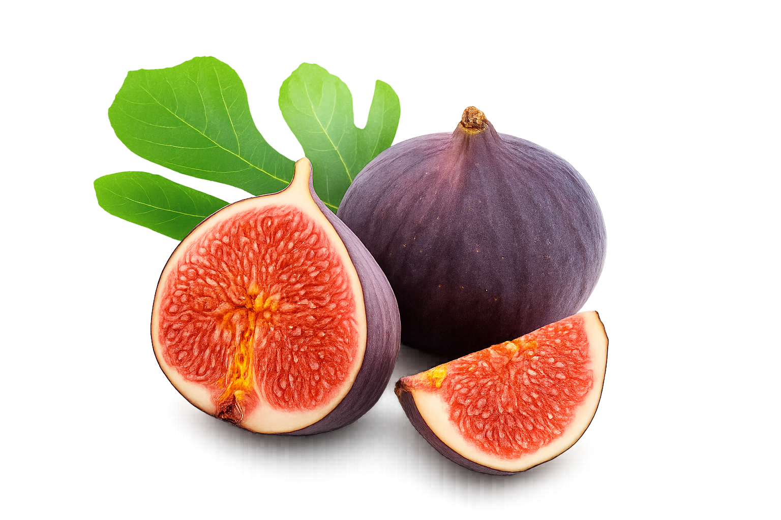 smokva-sladoled-gelato-zadar